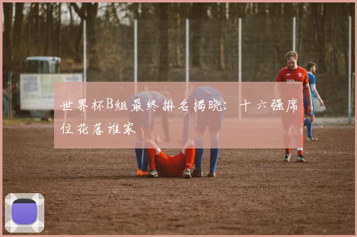 世界杯B组最终排名揭晓:十六强席位花落谁家