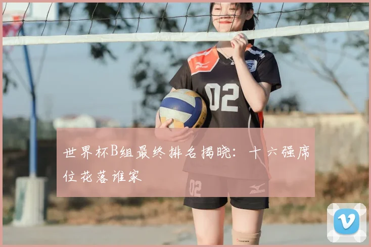 世界杯B组最终排名揭晓:十六强席位花落谁家